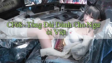 cf68 tổng đài dành cho người việt