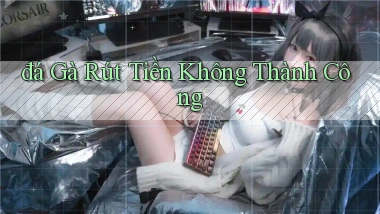 đá gà Rút tiền không thành công
