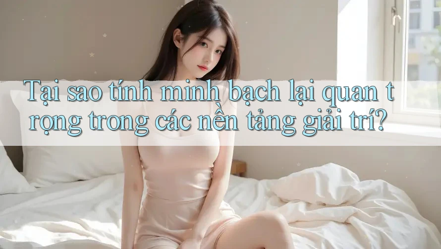 Tại sao tính minh bạch lại quan trọng trong các nền tảng giải trí? Tại sao tính minh bạch lại quan trọng trong các nền tảng giải trí?