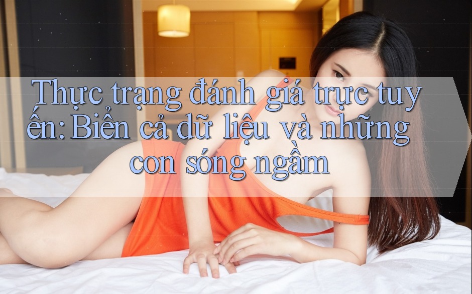 Thực trạng đánh giá trực tuyến: Biển cả dữ liệu và những con sóng ngầm Thực trạng đánh giá trực tuyến: Biển cả dữ liệu và những con sóng ngầm